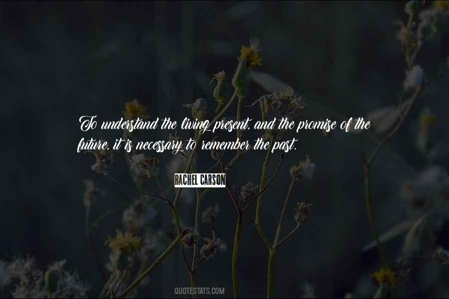 Quotes About Remember The Past #187923
