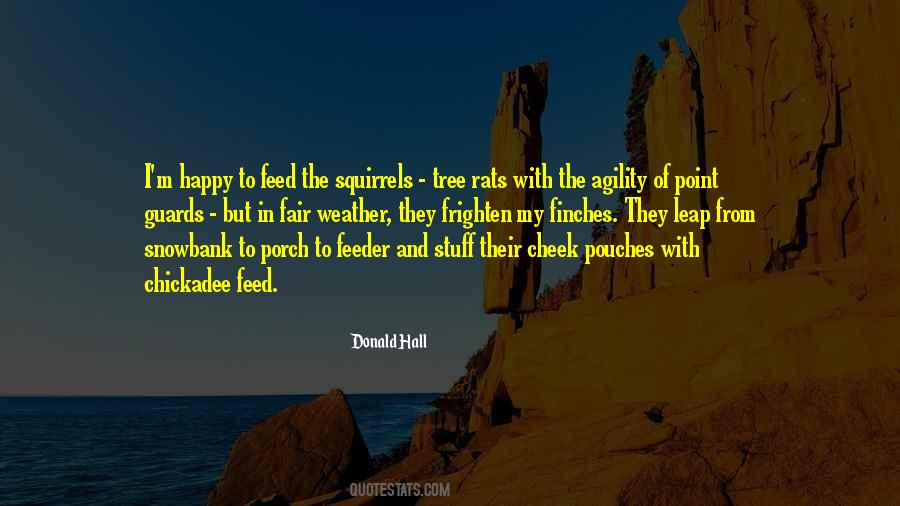 Quotes About Squirrels #360035