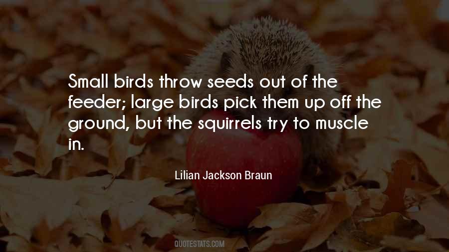 Quotes About Squirrels #442384