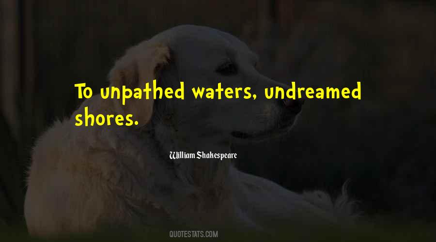 Undreamed Shores Quotes #860599