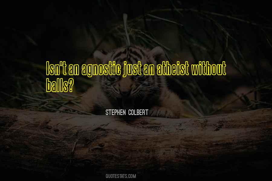 An Agnostic Quotes #838105
