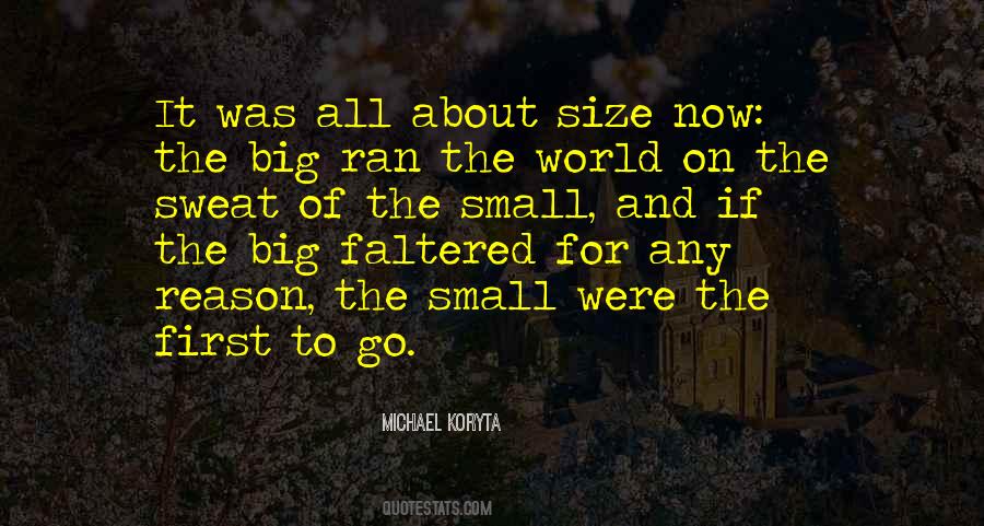 Quotes About Small Size #1011044