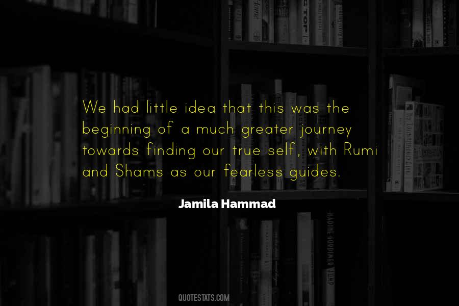 Quotes About Finding Joy In The Journey #1014745