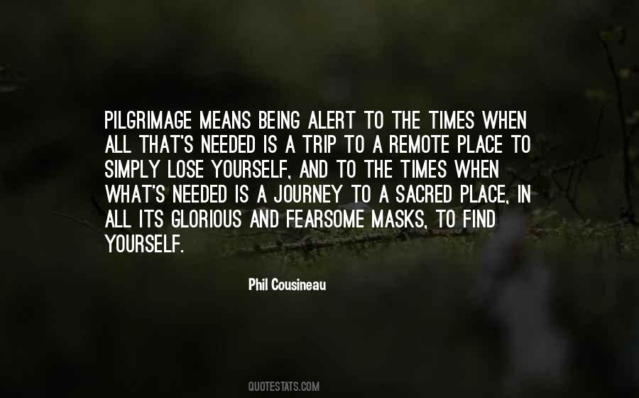 Quotes About Finding Joy In The Journey #1814114