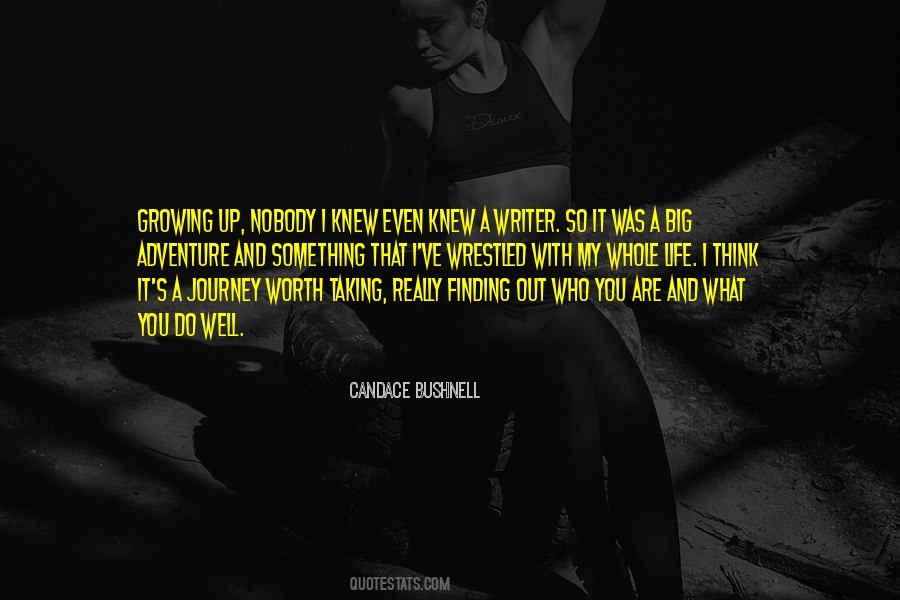 Quotes About Finding Joy In The Journey #996247