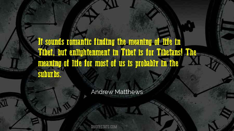 Quotes About Finding The Meaning Of Life #617345