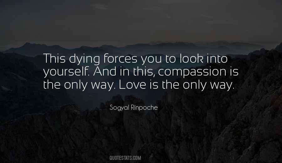 Love And Dying Quotes #152017