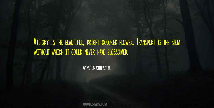 Transport Us Quotes #169170