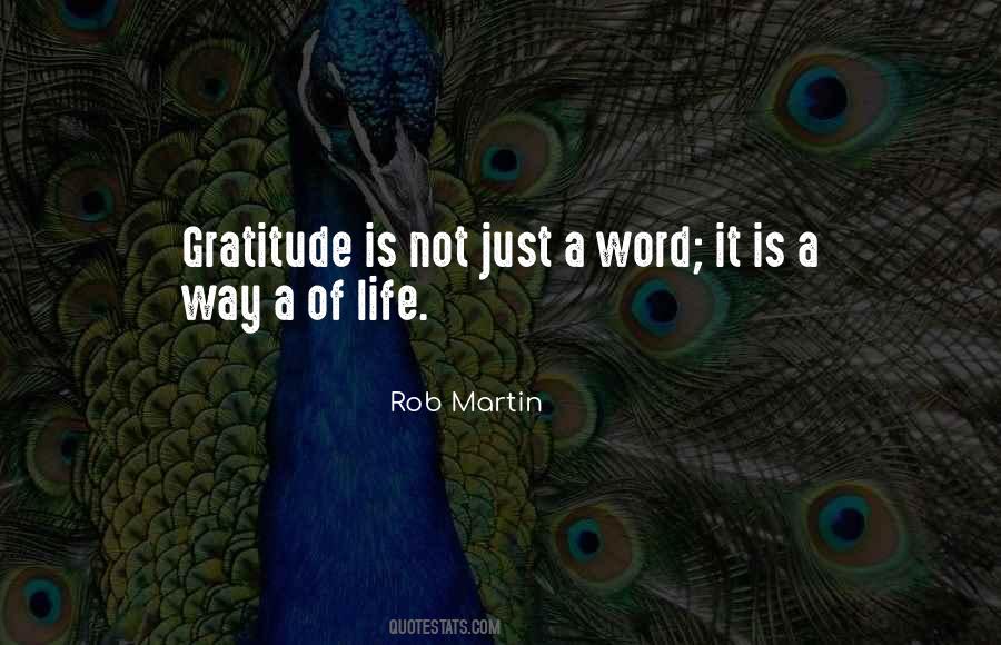 Quotes About Life Gratitude #65348