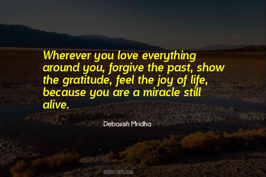 Quotes About Life Gratitude #71211