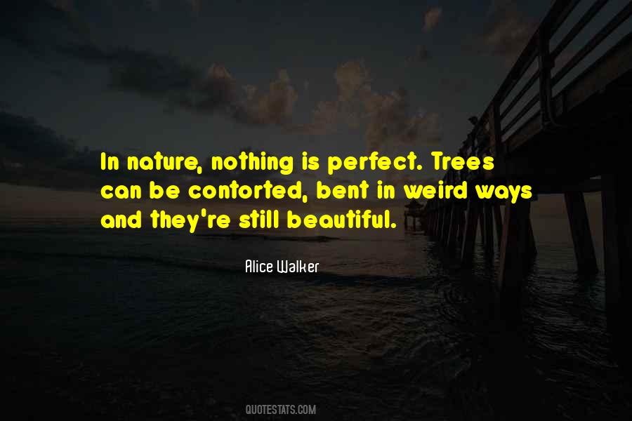 Beautiful Trees Quotes #1553282