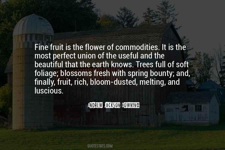 Beautiful Trees Quotes #1787765