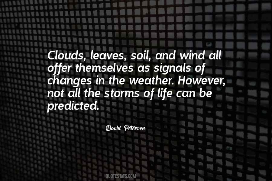 Quotes About The Storms Of Life #23217