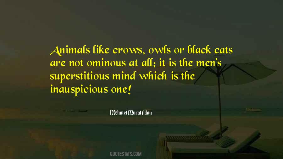 Quotes About Black Crows #165609