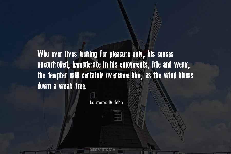 Will Overcome Quotes #31935