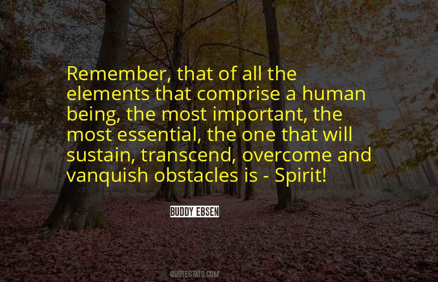 Will Overcome Quotes #82478
