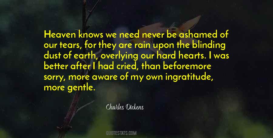 Quotes About Tears In Heaven #780750