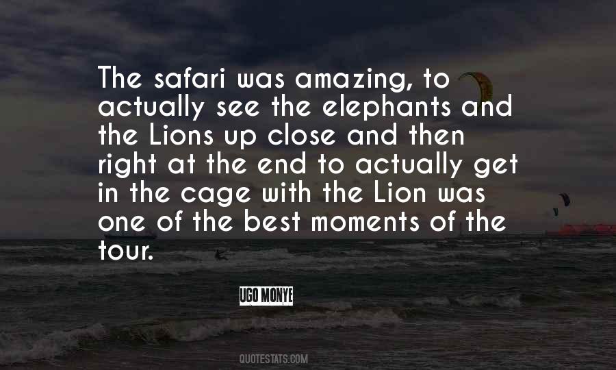 Quotes About Lions In Cages #1328652