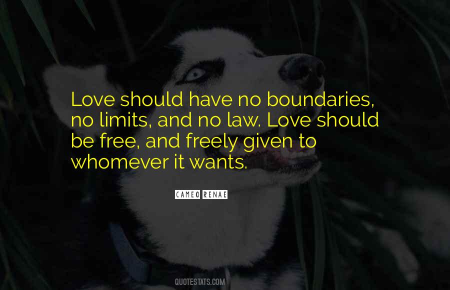 Quotes About Love No Boundaries #1568059