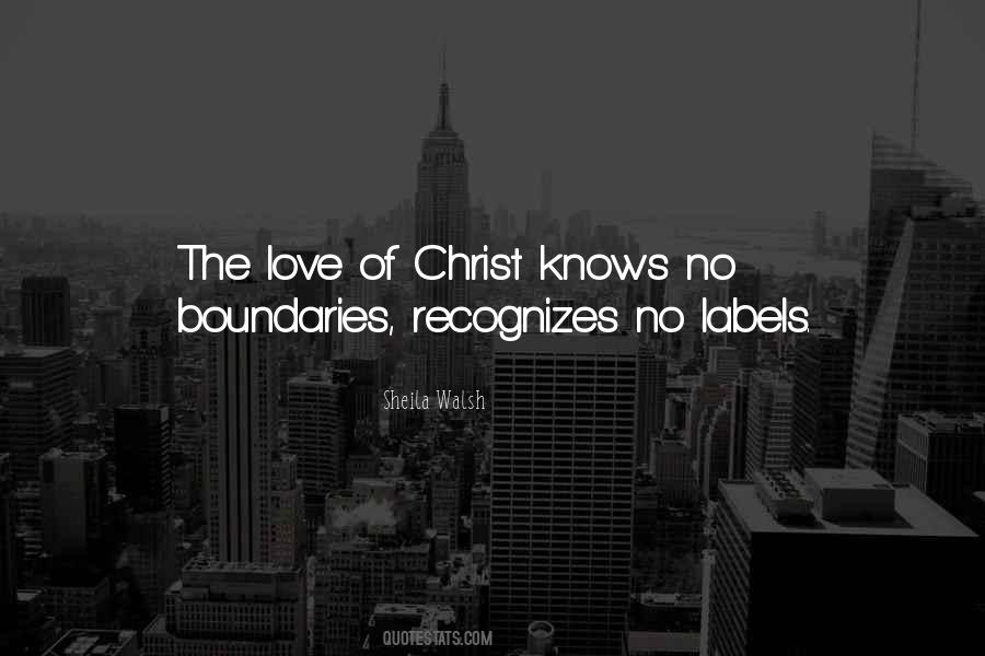 Quotes About Love No Boundaries #912250