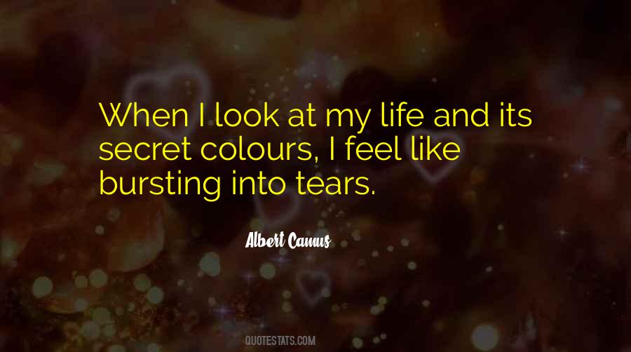 Quotes About Bursting Into Tears #72095
