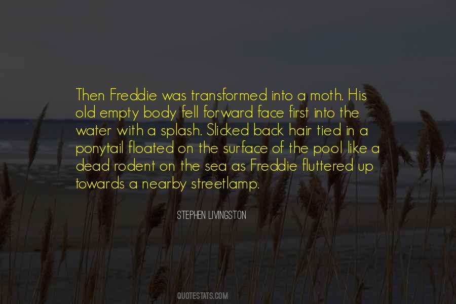 Like Stephen Quotes #45850