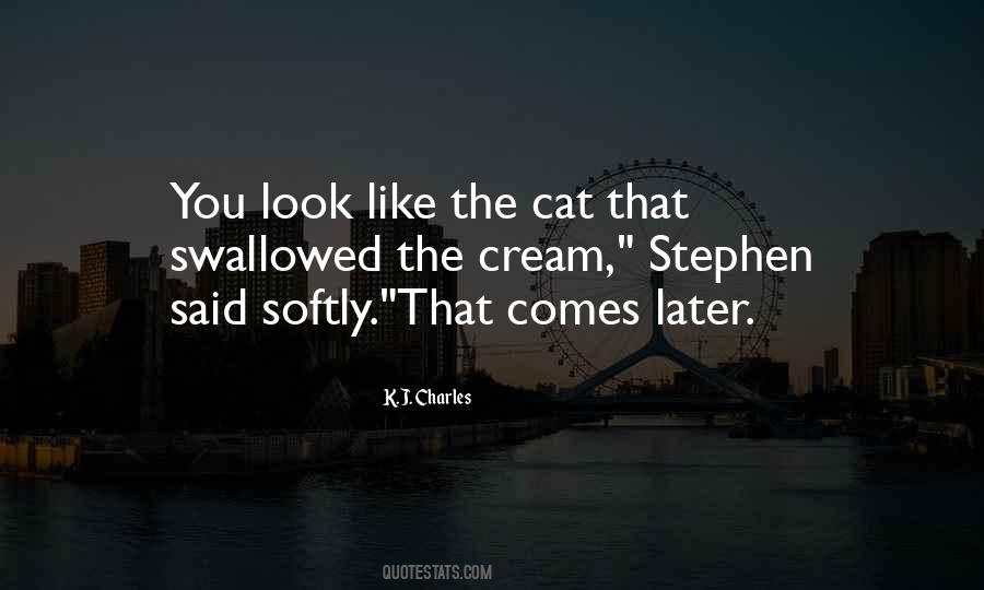 Like Stephen Quotes #58789