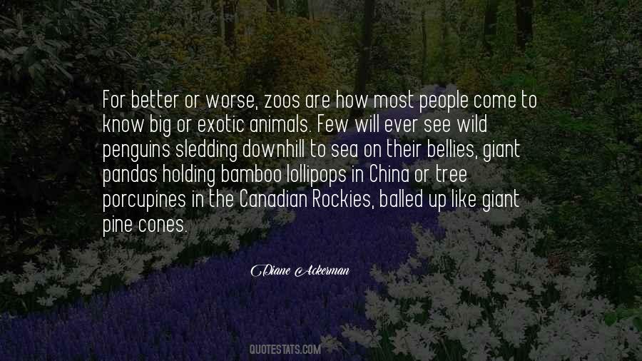 Quotes About Animals In Zoos #1851568 Quotes About Animals In Zoos #1851568