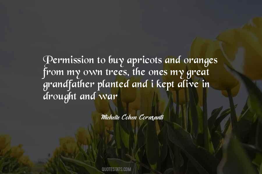 Quotes About Oranges #1635119