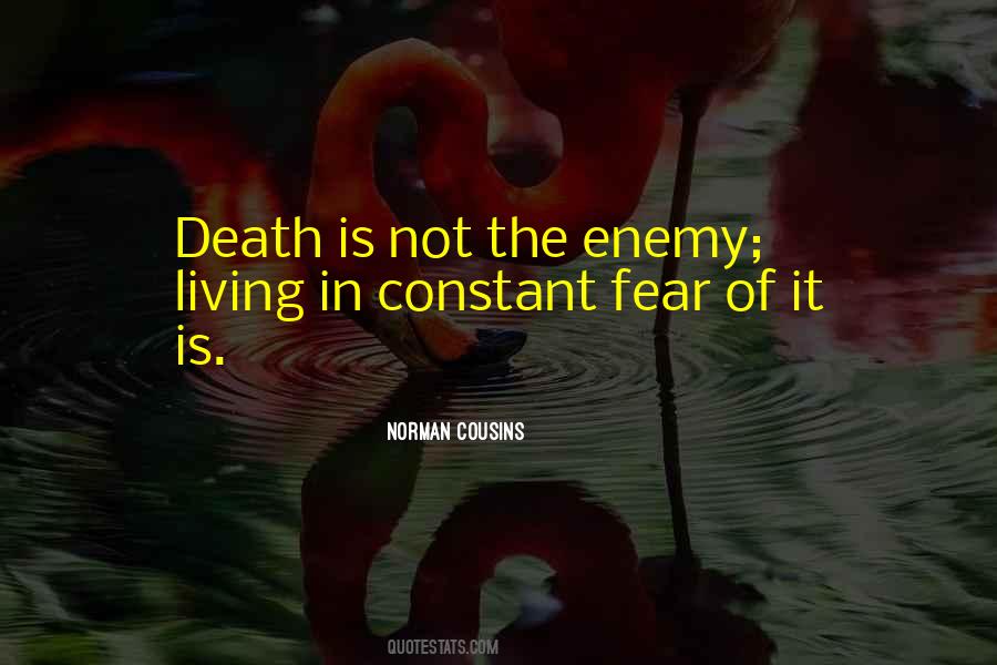 The Enemy Quotes #1652787