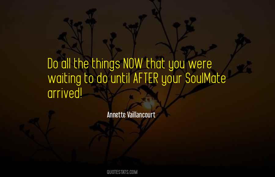 Quotes About The Soulmates #51869