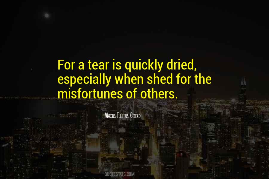 Quotes About Others Misfortunes #978055