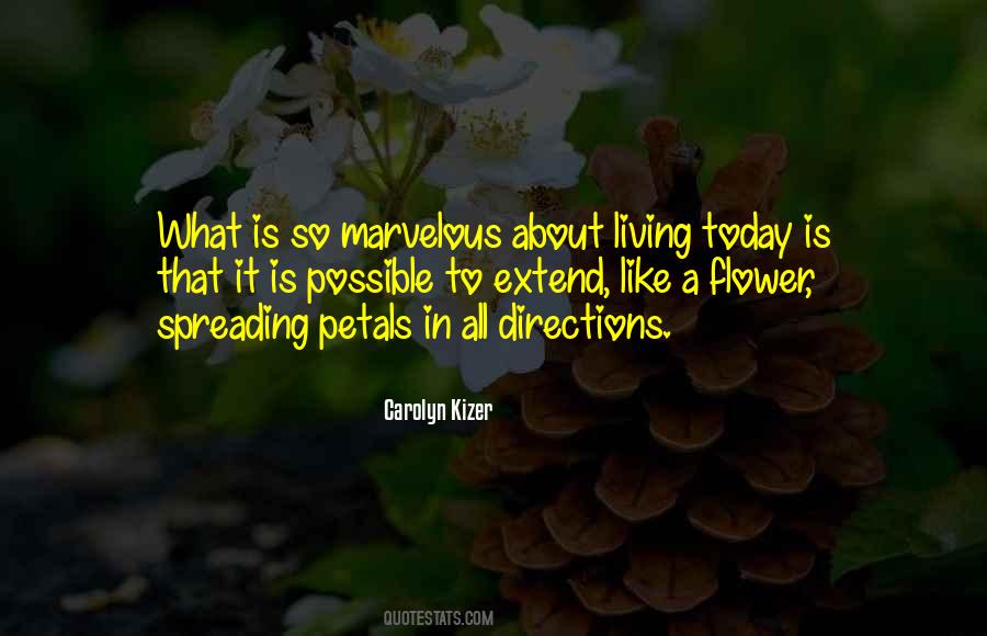 Quotes About Petals On A Flower #141597