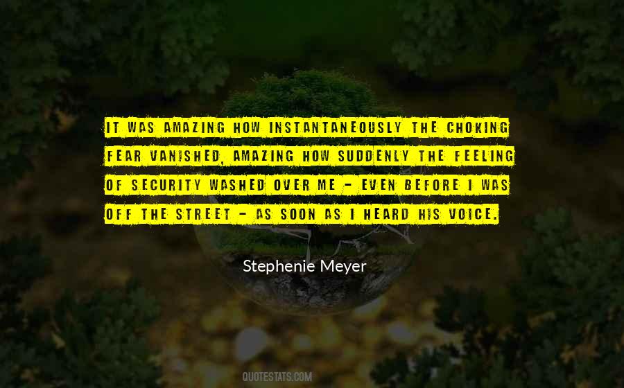 Feeling Of Security Quotes #1758151