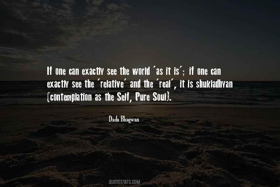 Self Contemplation Quotes #1631930