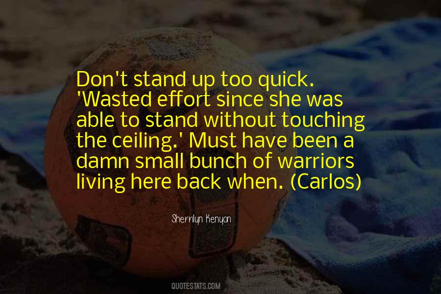 Quotes About Wasted Effort #291501