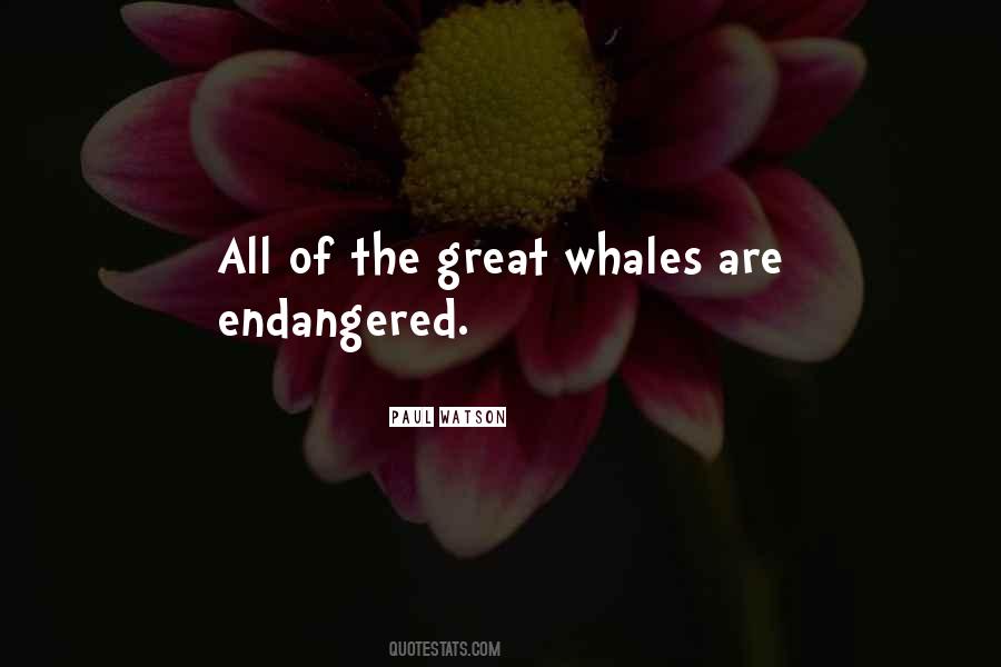 Quotes About Endangered Whales #1320975