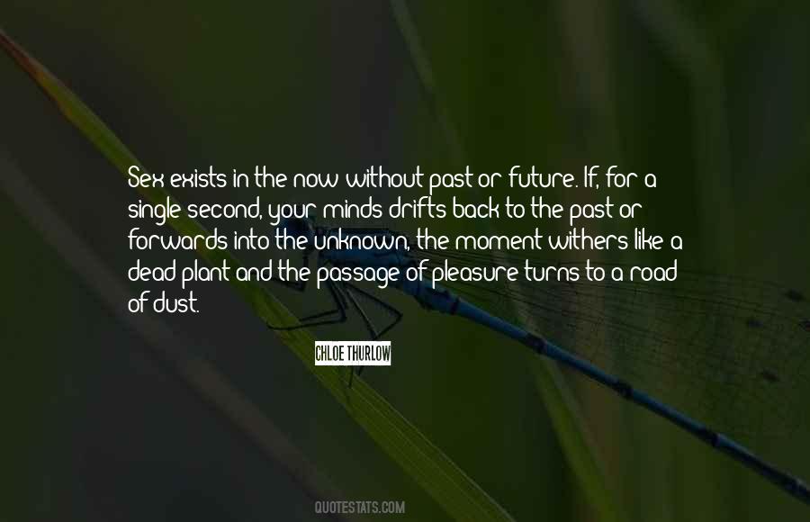 Quotes About Your Future And Past #615644