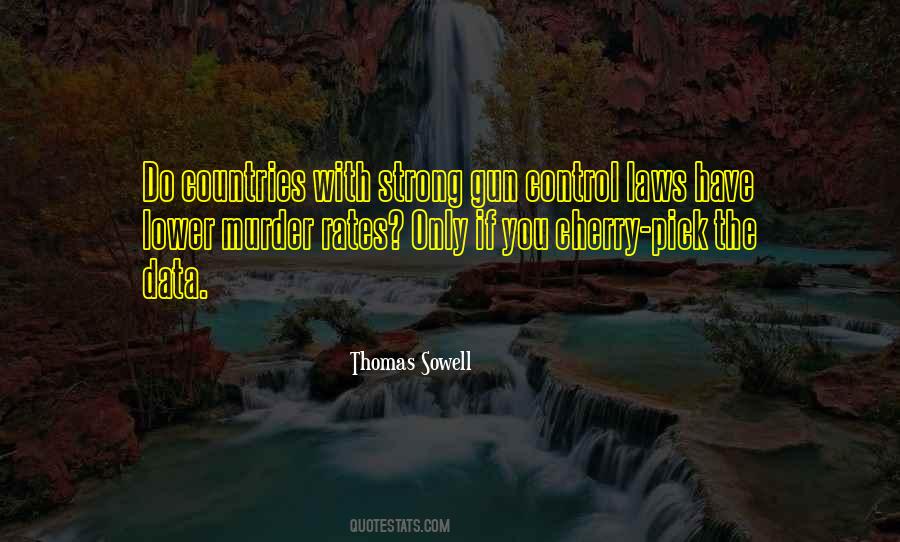 Quotes About Gun Control Laws #816166