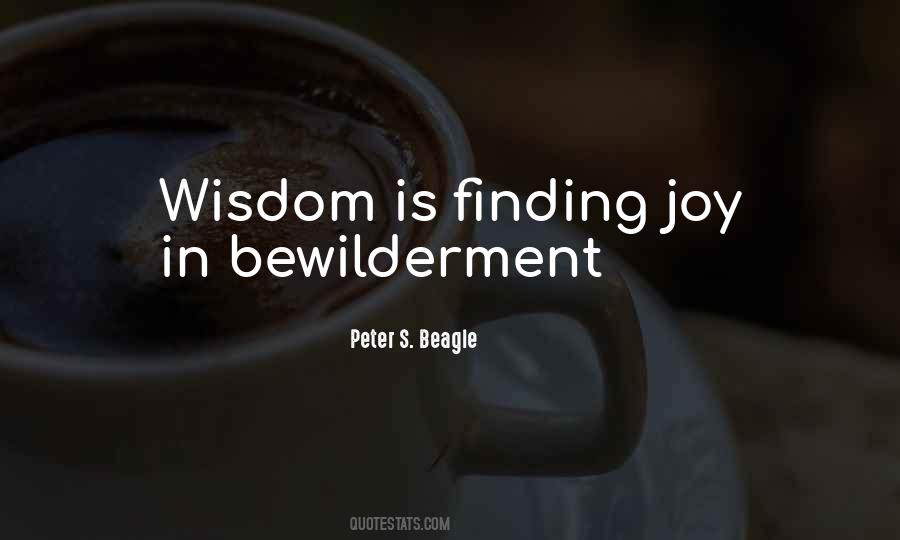 Quotes About Finding Joy #1876672