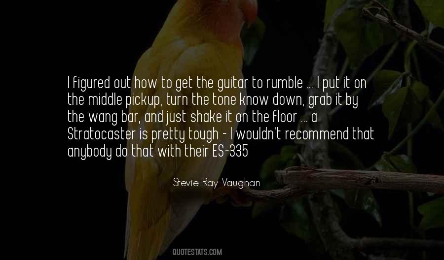 Stratocaster Guitar Quotes #1594402