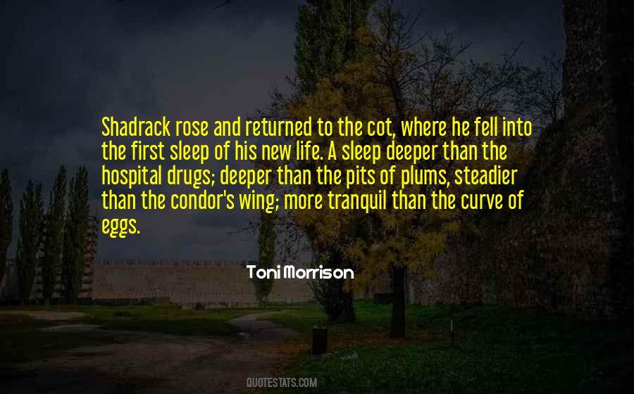 Shadrack Sula Quotes #1029994