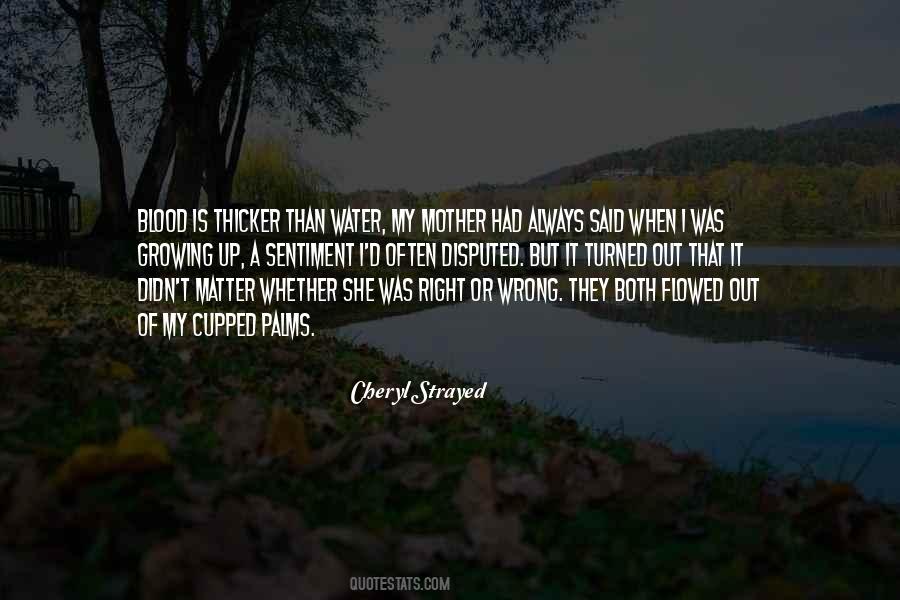Blood Mother Quotes #1115183