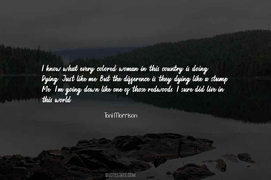 Quotes About Dying For Country #1668532