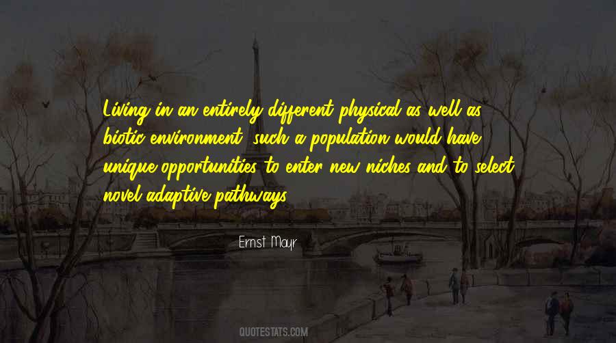 Quotes About Different Pathways #1486119