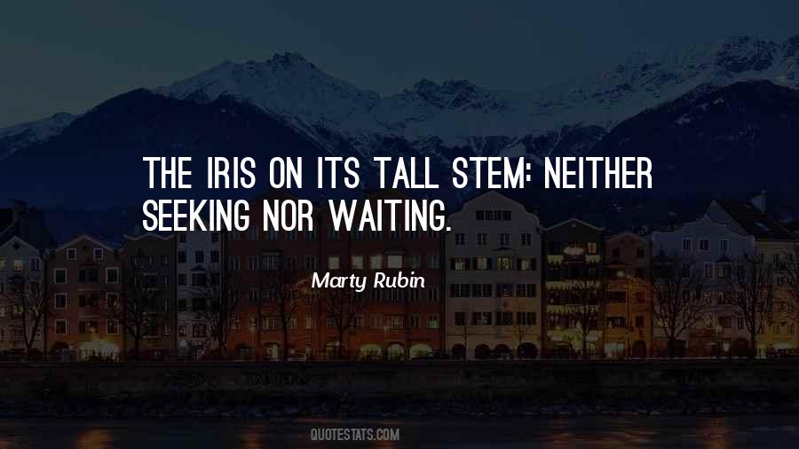 Quotes About Iris #1297761