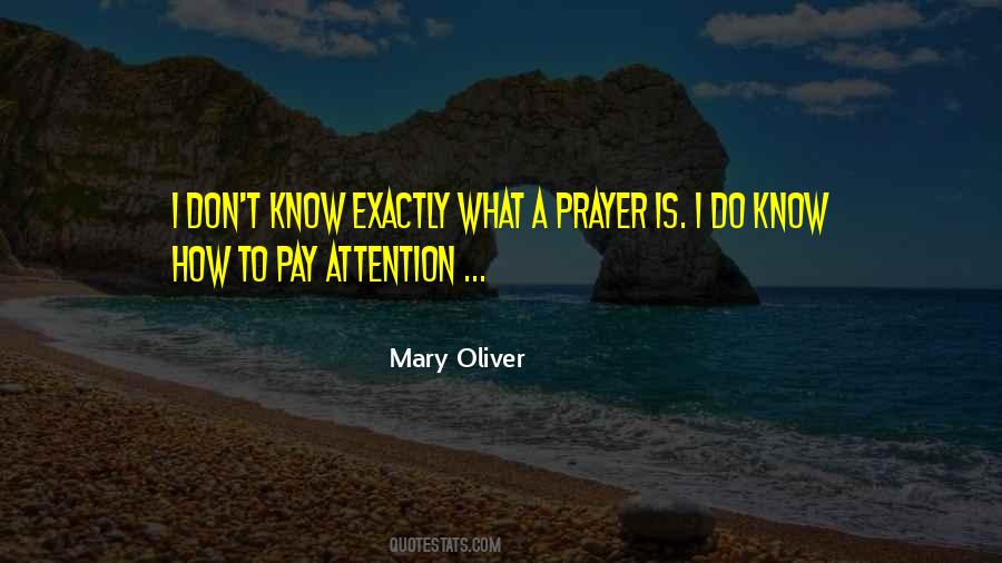 Quotes About Pay Attention #1339186