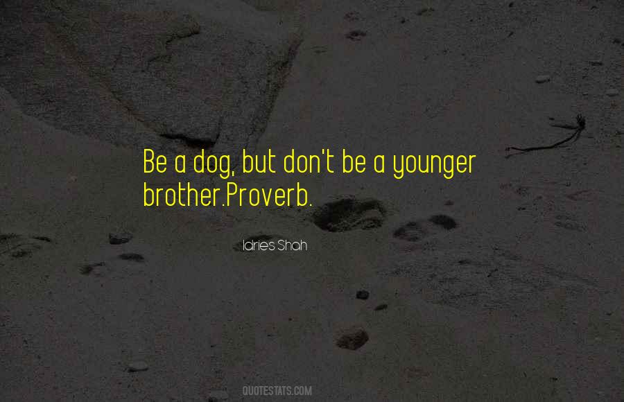 Quotes About A Younger Brother #1569824