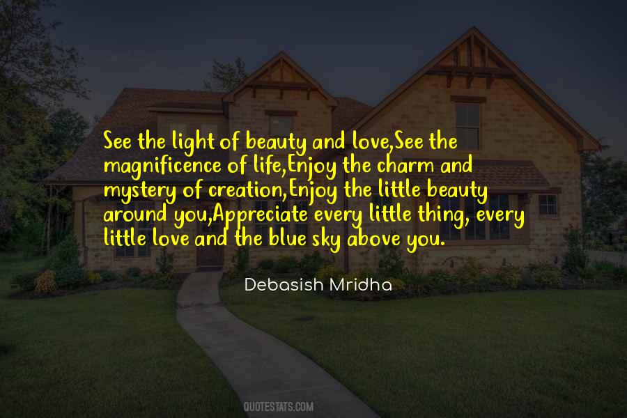 Quotes About Beauty And Light #143429