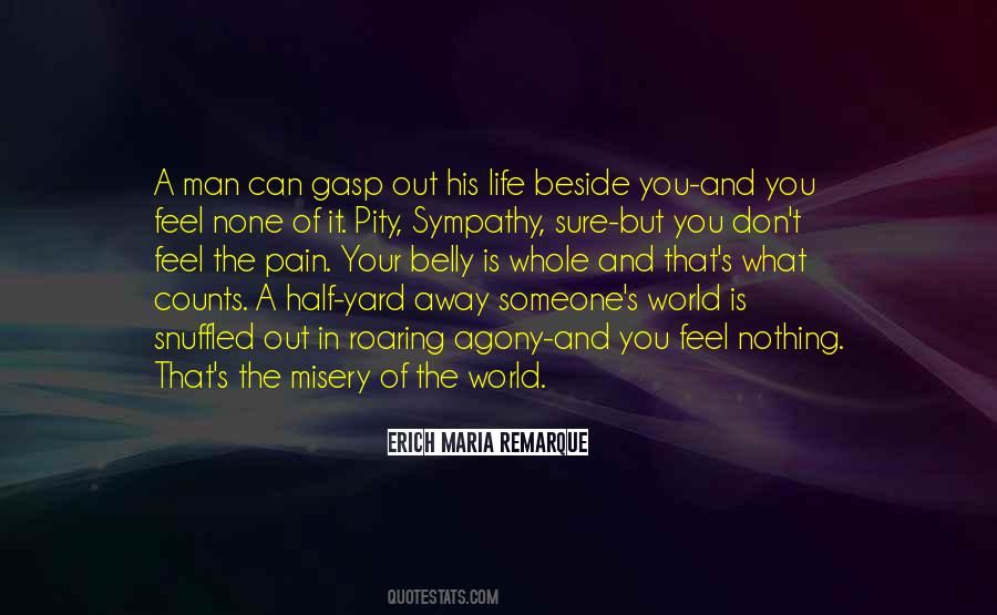 Feel Sympathy Quotes #1563719